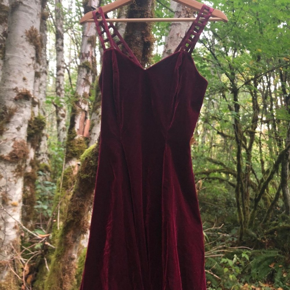 Dark red velvet dress